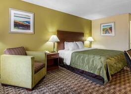 クオリティ イン レバノン 写真