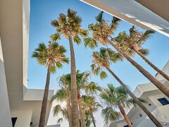 ヒポテルス アパルタメントス カラ ボナ 写真