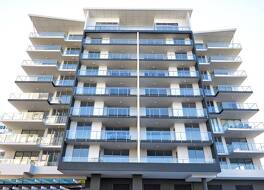 ヴァーヴ オン コットン ツリー 写真