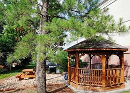 ソネスタ シンプリー スイーツ ノックスビル 写真