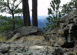 デイズ イン バイ ウィンダム スピアフィッシュ 写真