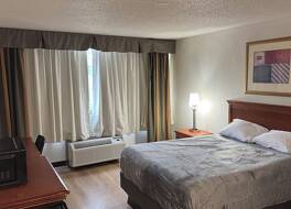 コルティナ イン 写真