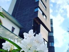 ザ セブン ホテル 写真