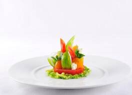 Hotel Le Viscos 写真