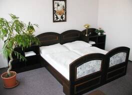 ホテル ズラタ ヴェズダ 写真