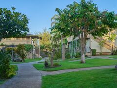 カウアイ イン 写真