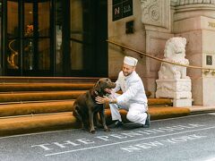 ザ ペニンシュラ ニューヨーク ホテル 写真