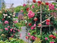 Ramada Plaza by Wyndham Optics Valley Hotel Wuhan Wuchang 写真