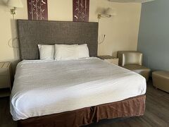 サファリ モーテル 写真