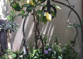 ホテル ガッビア ドーロ 写真