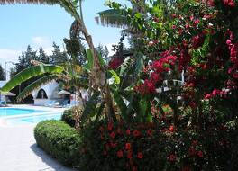 ホテル メナラ 写真