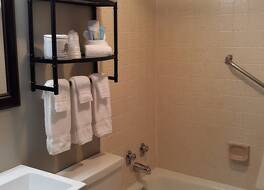 ザ ダコタ 写真