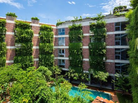 マルベリー コレクション シルク エコ 写真