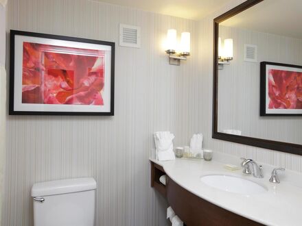 ヒルトン ガーデン イン ニューオーリンズ コンベンション センター 写真