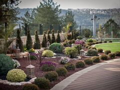 ホテル イェフダ 写真