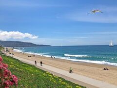 レドンド イン アンド スイーツ 写真