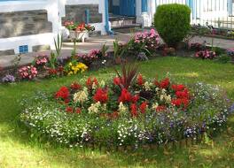 タネス ホテル 写真