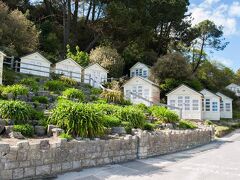 The Plantation 写真