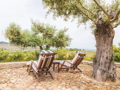 Quinta da Barroca 写真