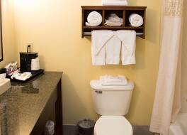 ハンプトン イン ダンビル 写真