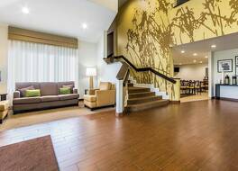 スリープ イン レキシントン 写真