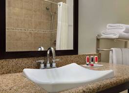 ラマダ、ウィンダム オークランド ダウンタウン シティ センター 写真