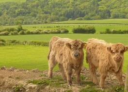 The Grainary Farm Stay 写真