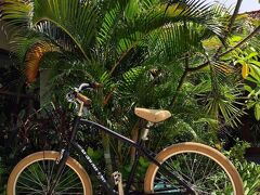 ベルカーヴィラ 写真