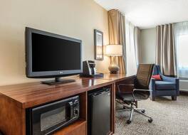 コンフォート イン ラ ポルト 写真