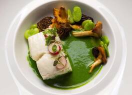 ソフィー ハイド パーク 写真