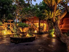 ディシニ ラグジュアリー スパ & ヴィラ 写真