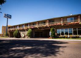 Best Western Driftwood Inn