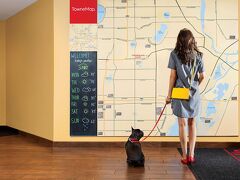 TownePlace Suites by Marriott Memphis Southaven 写真