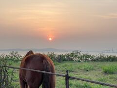 ブリーズ & ウエイブズ A シーサイド イン 写真