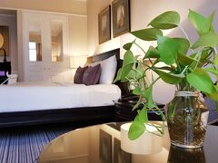 ザ スコソル 写真