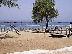 Constantino's Studios 写真