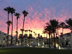 セリーン ベガス ブティック ホテル 写真