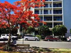 スペース ホリデー アパートメンツ 写真