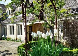 ローズ オブ ザ マナー 写真