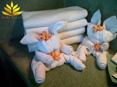 ディアナ ヴィラズ 写真