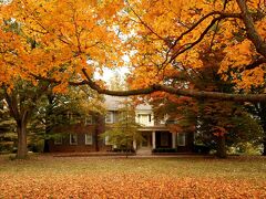 チャード オークス イン 写真