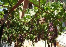 Centaur Hotel 写真