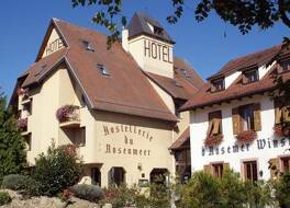 Le Rosenmeer - Hotel Restaurant, au coeur de la route des vins d'Alsace 写真