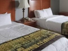 クオリティ イン & スイーツ チャタヌーガ ウェスト ニア ルックアウト マウンテン 写真