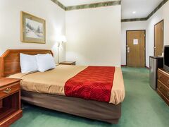 クオリティ イン カディス 写真