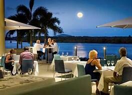 ザ ビーチ ハウジーズ コットン ツリー 写真