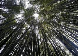 Le Domaine de la Régalière