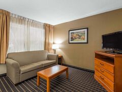 クオリティ イン & スイーツ セバービル - ピジョン フォージ 写真