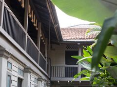 ムントリ ミュース 写真