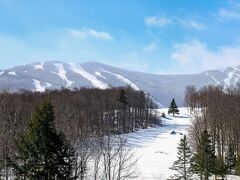 Killington Mountain Lodge, Tapestry 写真